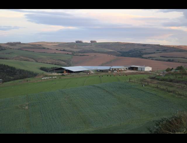 814HA FARM FOR SALE IN RIVERSDALE RURAL